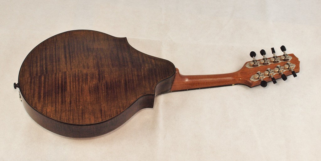 Classical mandolin asymmetric back