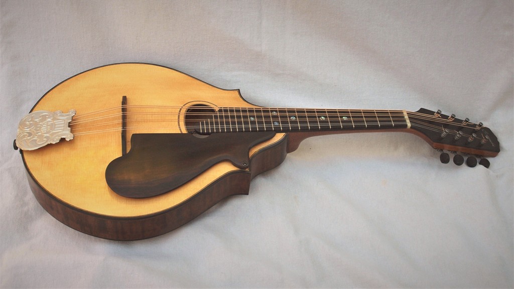 lyon healy mandolin style c