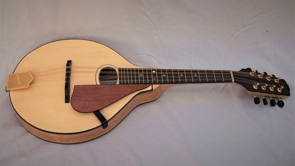 custom mandolin
