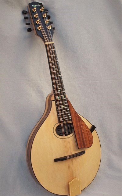 Custom mandolin