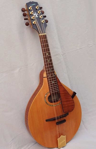 Goldfinch mandolin