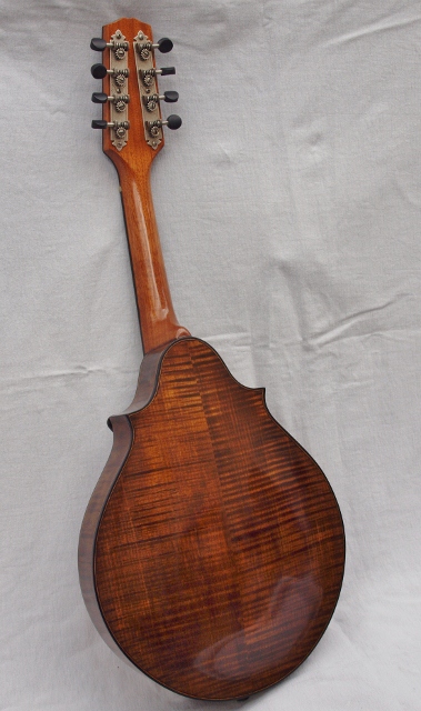 Classical mandolin back