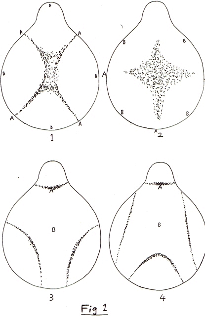 Chladni patterns