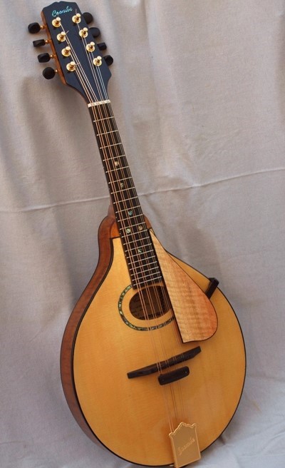 Standard mandolin